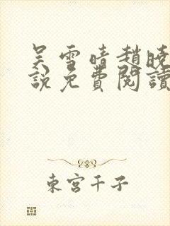 吴雪晴赵晓东小说免费阅读封面