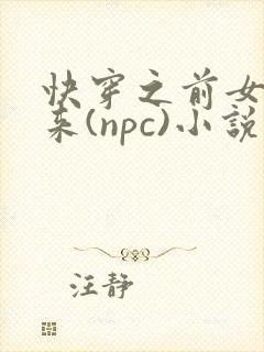 快穿之前女友归来(npc)小说免费阅读封面