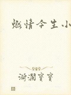 燃情今生小说