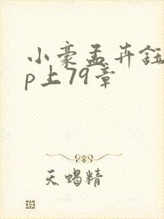 小豪孟卉钰慧三p上79章封面