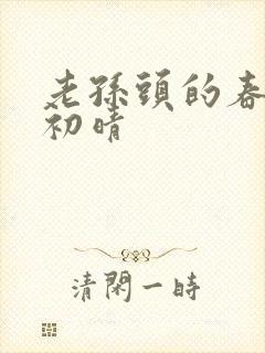 老孙头的春天林初晴