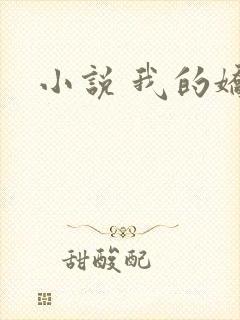 小说 我的娇妻