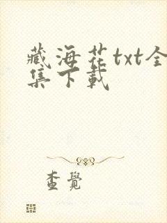 藏海花txt全集下载