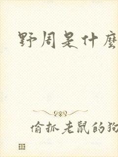 野周是什么意思