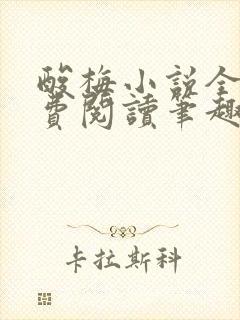 酸梅小说全文免费阅读笔趣阁