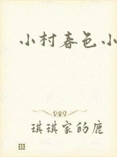 小村春色小说封面