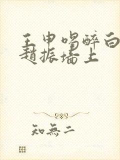 王申喝醉白洁被赵振墙上