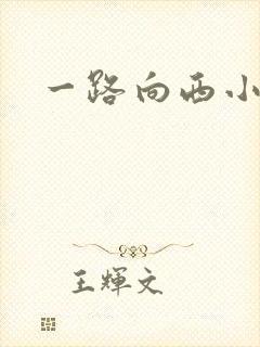 一路向西小说