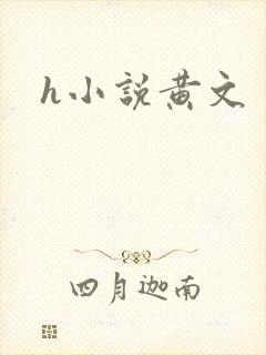 h小说黄文