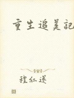 重生追美记2封面