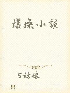 爆操小说