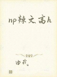 np辣文高h