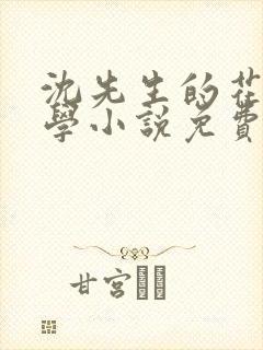 沈先生的花式教学小说免费