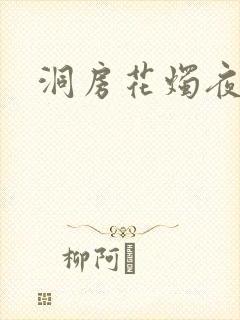 洞房花烛夜小说