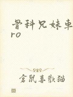 骨科兄妹车多pro