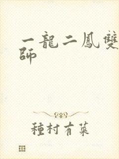 一龙二凤双飞老师封面