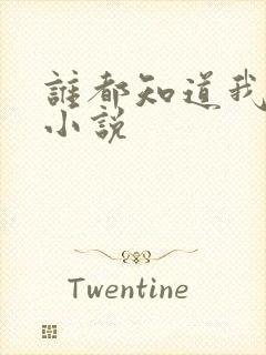 谁都知道我爱你小说