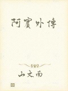 阿宾外传