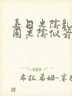 长日光阴乱作一团光阴似箭封面