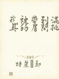 我被带到满是玩具的房间挑调游戏