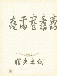 太子宠妾高肉红烧肉包讲的什么