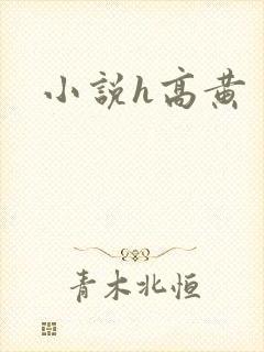 小说h高黄