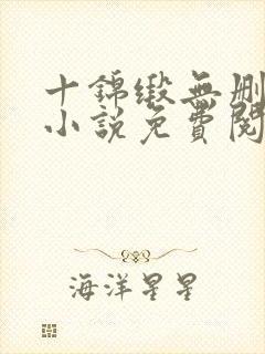 十锦缎无删原著小说免费阅读封面