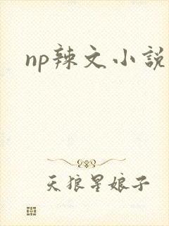 np辣文小说