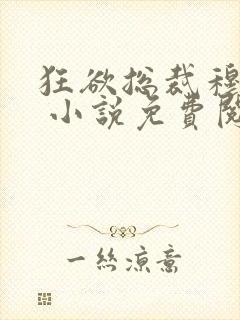 狂欲总裁穆非雪 小说免费阅读