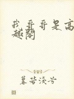 我哥哥是高欢笔趣阁