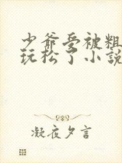 少爷受被粗汉H玩松了小说