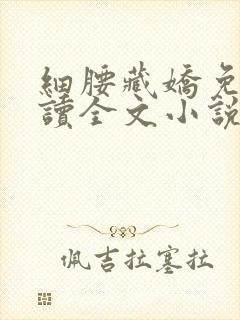 细腰藏娇免费阅读全文小说苏珞浅封面