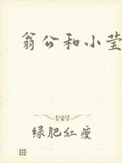 翁公和小莹封面