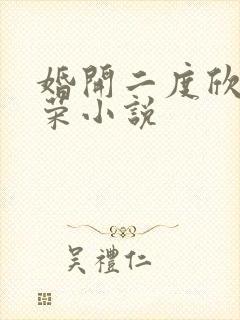 婚开二度欣欣向荣小说封面