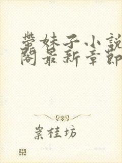 带妹子小说笔趣阁最新章节更新时间封面