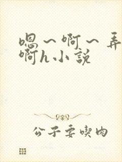 嗯～啊～弄嗯～啊h小说