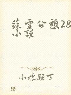 苏雪公憩28篇小说封面