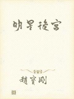明星后宫
