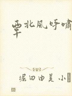 西北风呼啸的中午