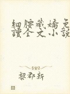 细腰藏娇免费阅读全文小说苏珞浅封面