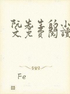 阮先生的小说全文免费阅读无弹窗