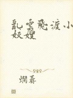 乱云飞渡小说之姣嫂