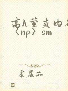 高h荤爽肉欲文〈np〉sm封面