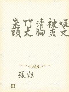 朱竹清被吸乳奶头大胸爽文