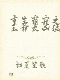 重生霸宠之摄政王爷太凶猛