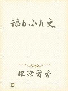 舔b小h文封面