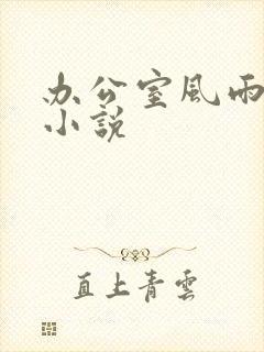 办公室风雨完整小说
