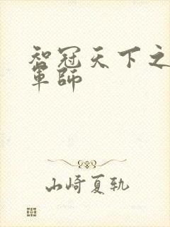 智冠天下之风流军师封面