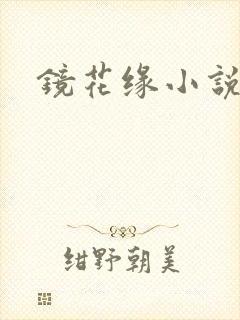 镜花缘小说