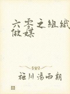 六零之组织给我做媒